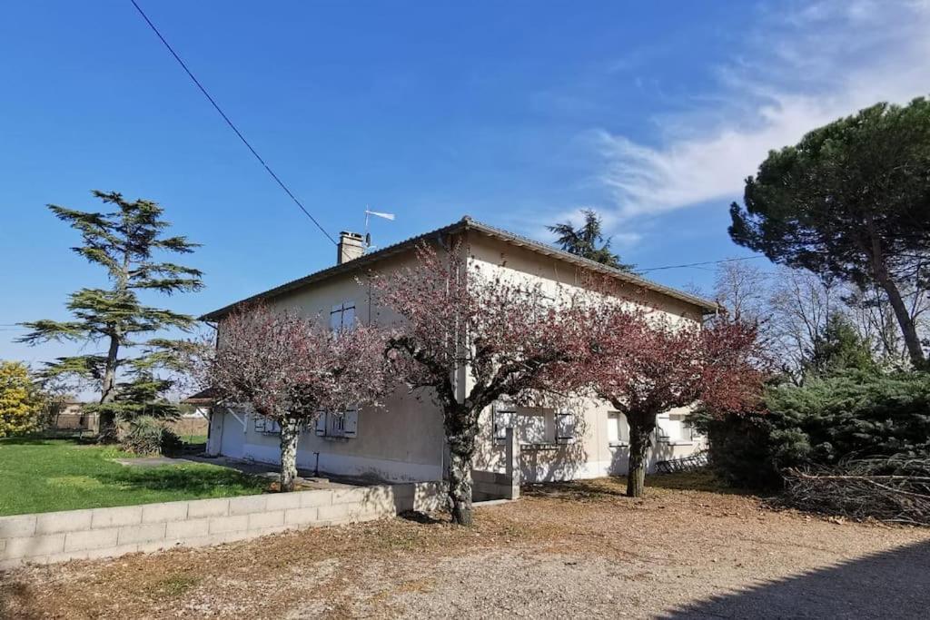 Maison Gaillacoise Exterior photo